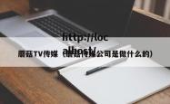 蘑菇TV传媒(蘑菇传媒公司是做什么的)